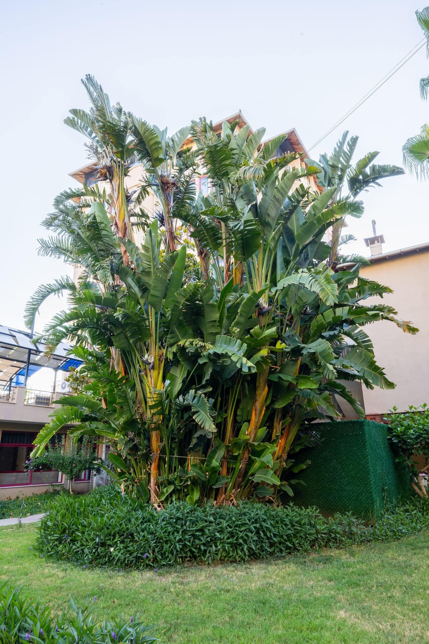 Sarıtaş Hotel lush garden and relaxation terraces — Alanya Tosmur
